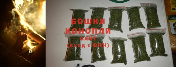 твердый Алзамай