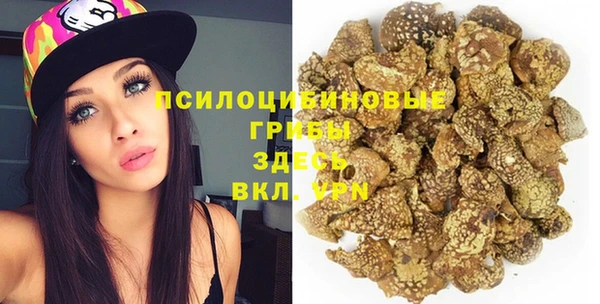 твердый Алзамай